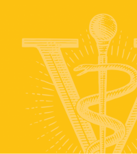 rod of asclepius scaled on gold background