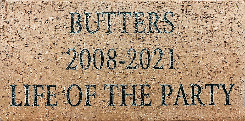 "BUTTERS 2008-2021 LIFE OF THE PARTY" brick inscription.