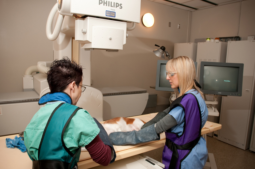 Fluoroscopy