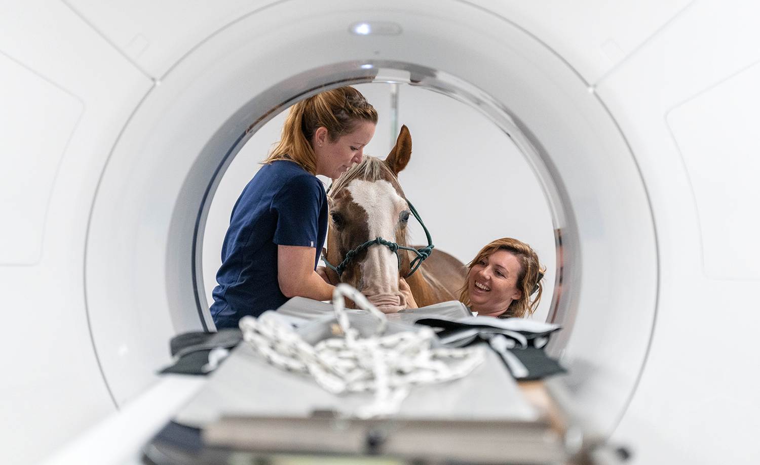 Two technicians hold at horses head inside a CT scanner, with the view of the image through the opening of the scanner.