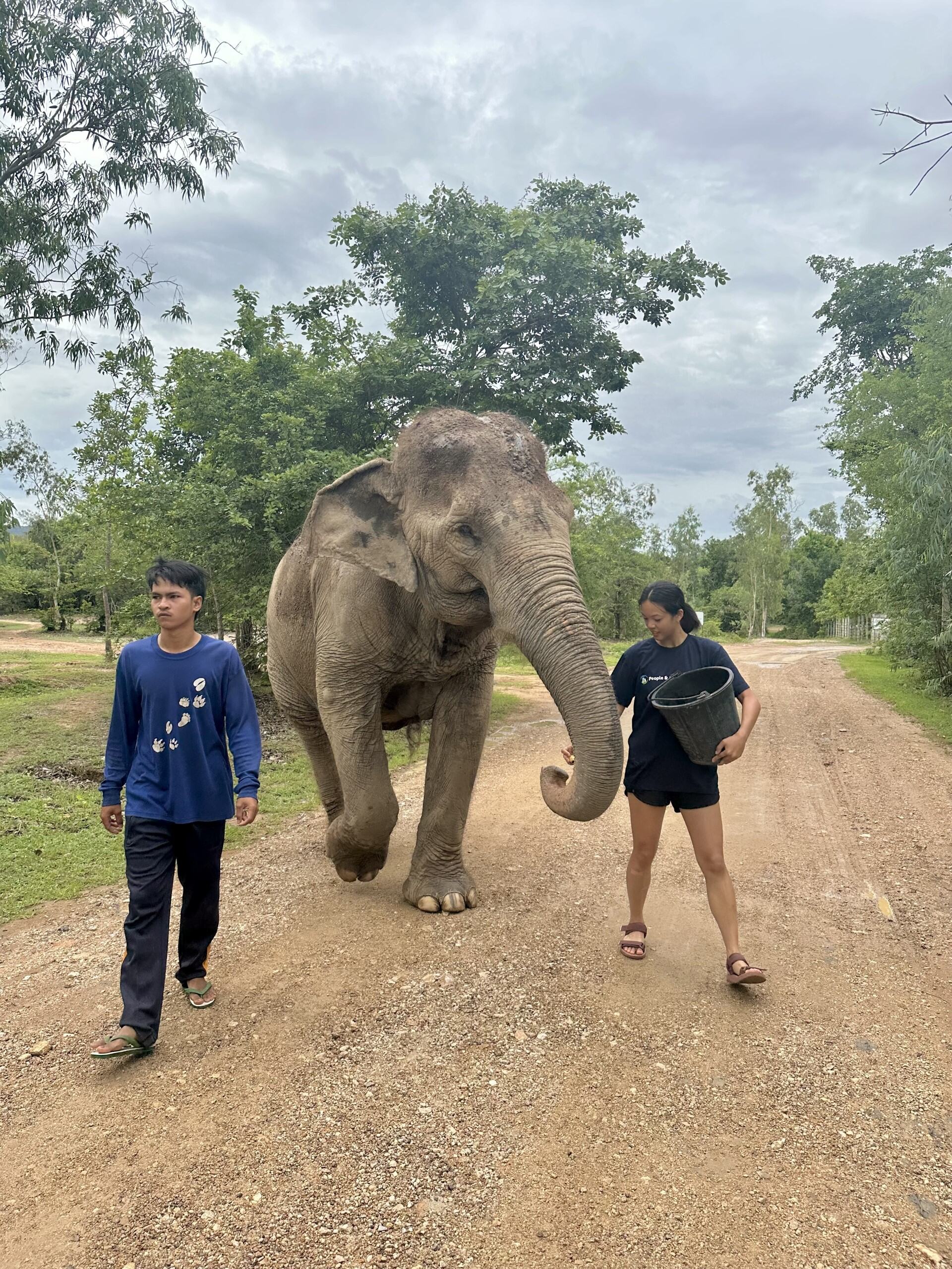 Anyi and another student walking with an elephant.