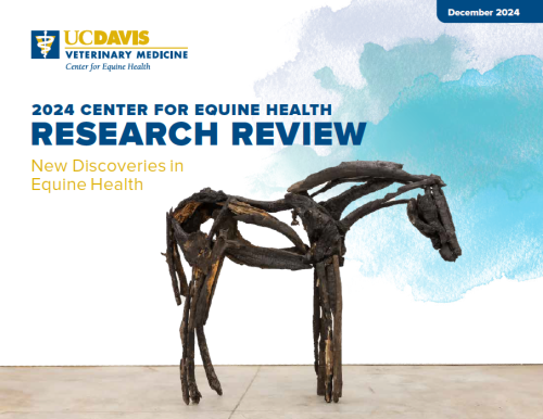 Cover of 2024 Center for Equine Health Research Review