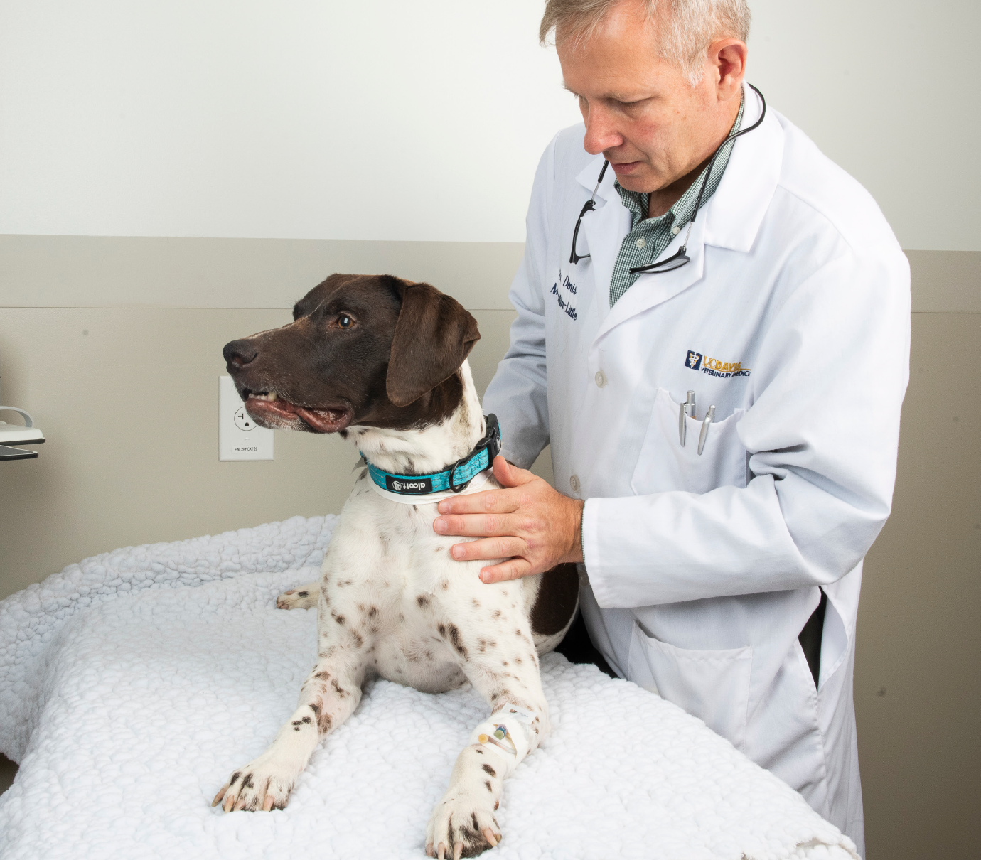 Dexter at a recheck appointment after surgery