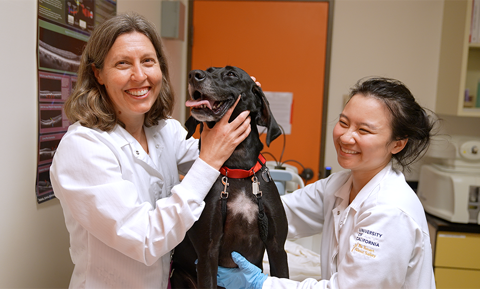 Two veterinarians smiling while examining a large black dog in a veterinary clinic.