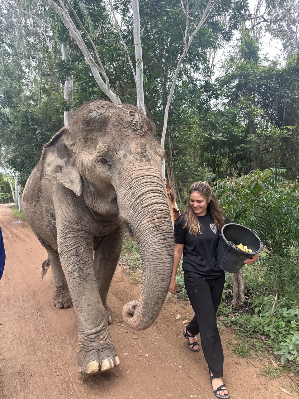 Eliana Carmody walking next to an elephant.