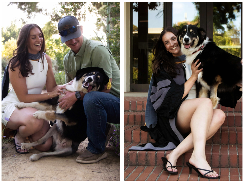 Two photos — couple with black-and-white dog outdoors (woman wearing graduation sash and dog wearing her graduation cap); woman wearing graduation gown holding dog on while sitting on steps.
