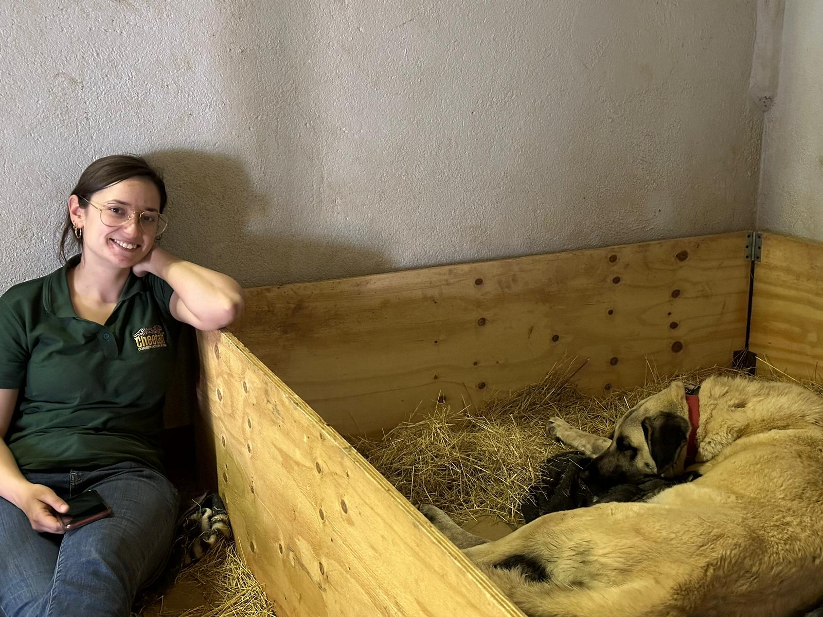 Holly sitting next to a pen with a dog laying inside it on hay.
