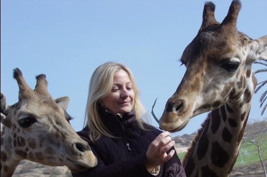 Dr. Patty Gaffney feeding a giraffe