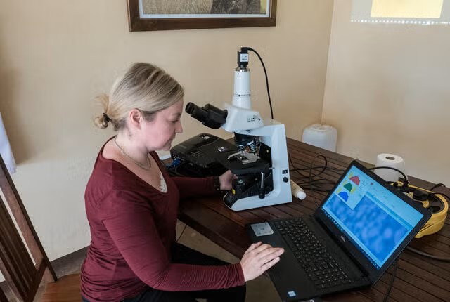 Patty Gaffney at microscope