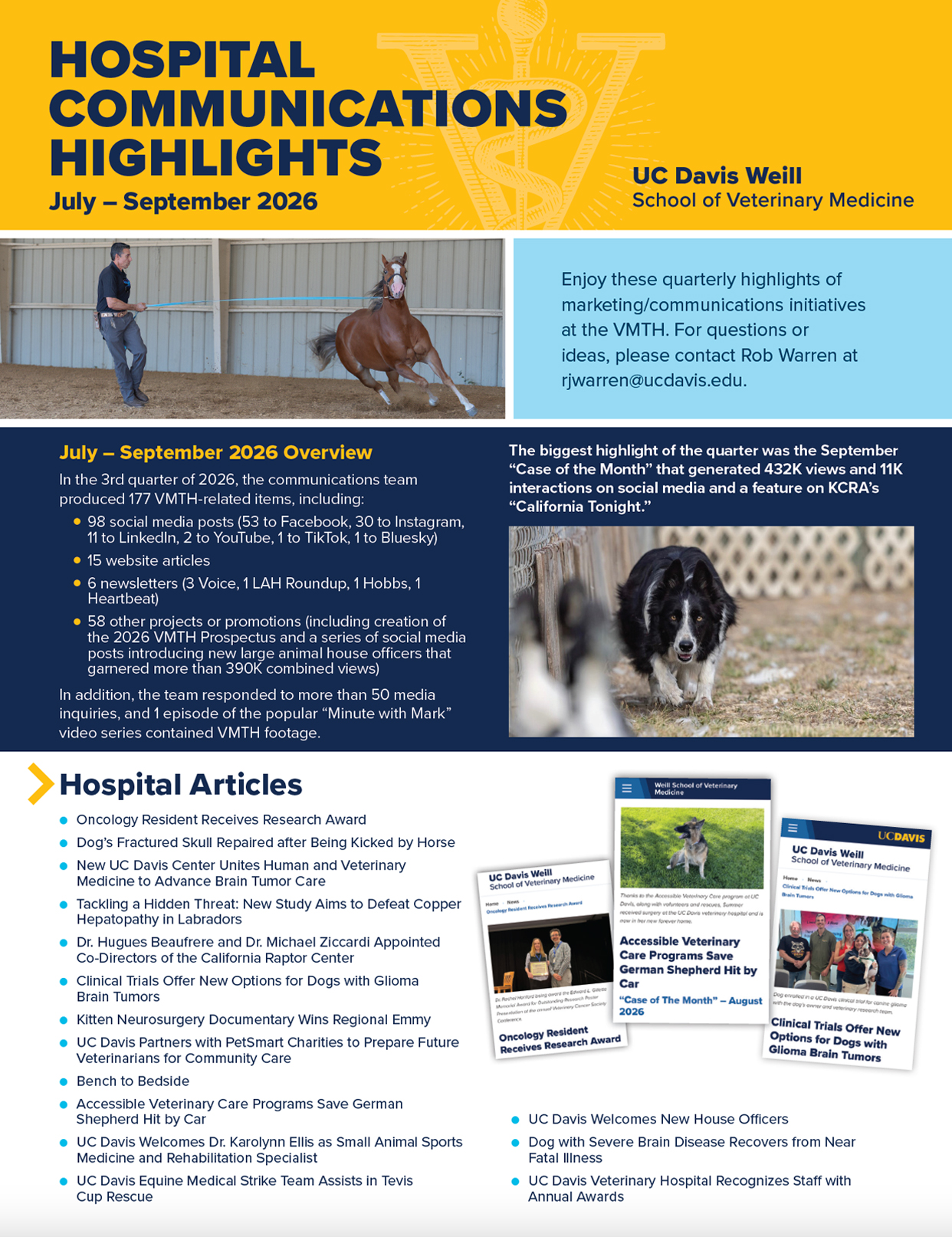 Hospital communications newsletter with orange header, staff photo, dog photo, and thumbnails