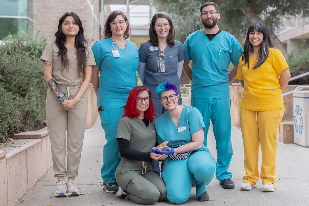 Group of seven healthcare workers in scrubs, smiling together outdoors.