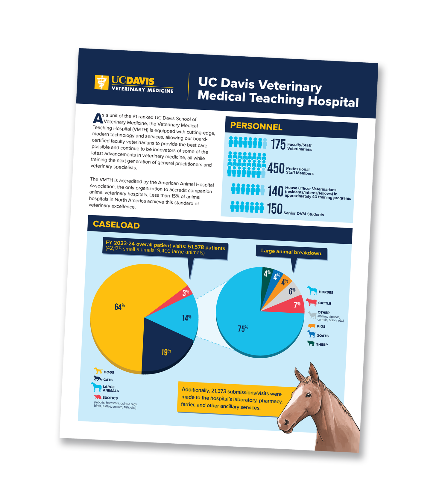 Cover of the VMTH Prospectus