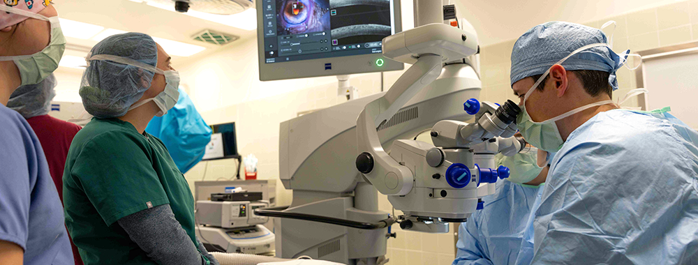 Vets performing a cataract surgery.