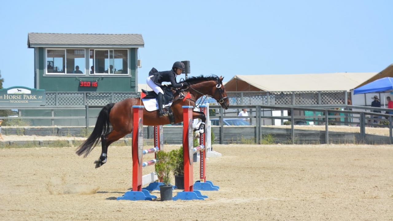 Monty, a three-day eventing horse, has recovered from colic surgery at the UC Davis veterinary hospital and is back to training. three-day eventing horse colic surgery at UC Davis veterinary hospital