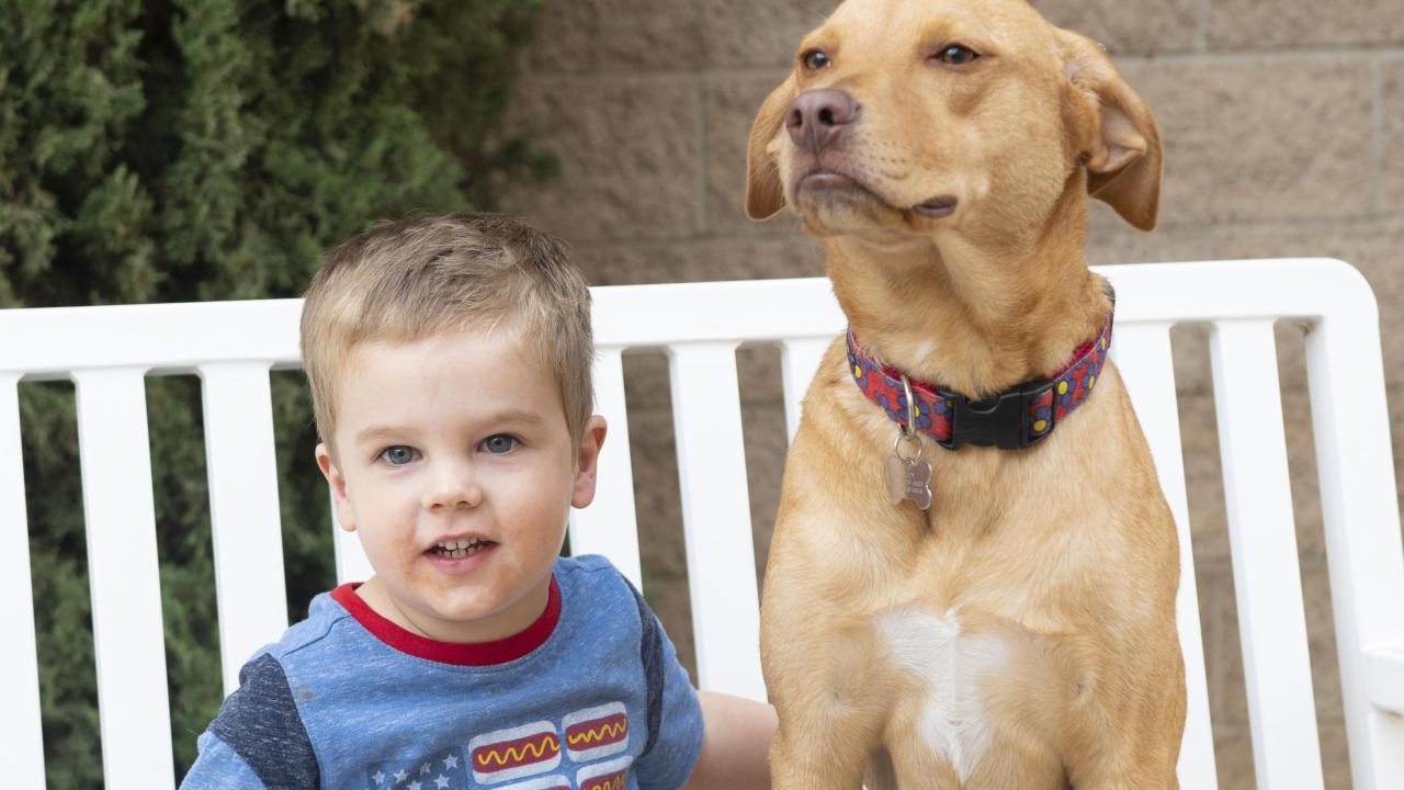 boy and dog