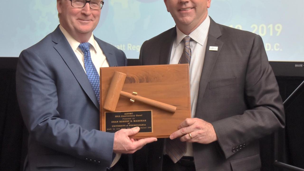 Outgoing AAVMC President Calvin Johnson, D.V.M., passes the Board gavel to new President, University of California, Davis, School of Veterinary Medicine Dean Michael D. Lairmore, D.V.M. Dean Lairmore