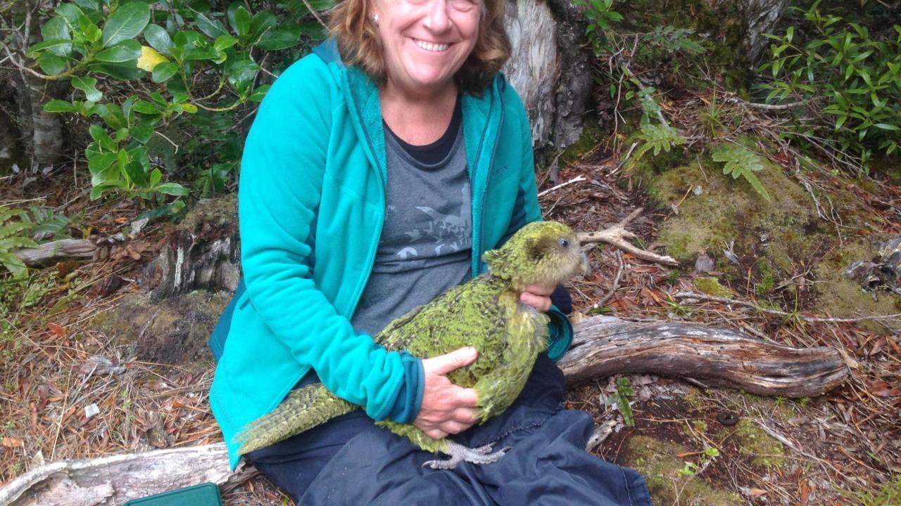 UC Davis veterinarian Joanne Paul-Murphy with kakapo parrot