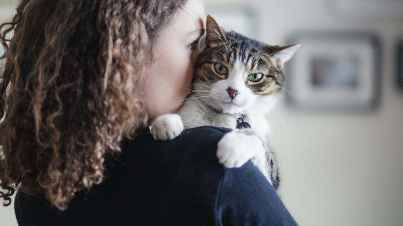 cat and woman