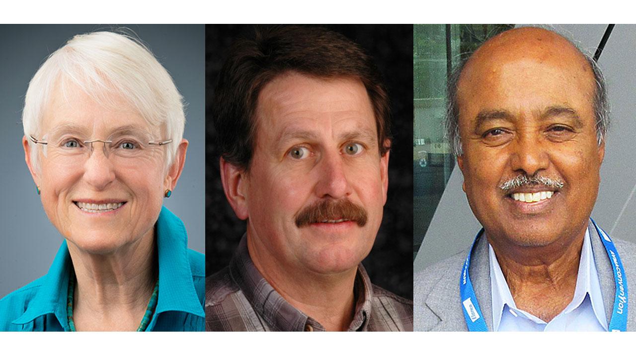 Drs. Linda Lowenstine, James MacLachlan and Dr. H. L. Shivraprasad Drs. Linda Lowenstine, James MacLachlan and Dr. H. L. Shivraprasad