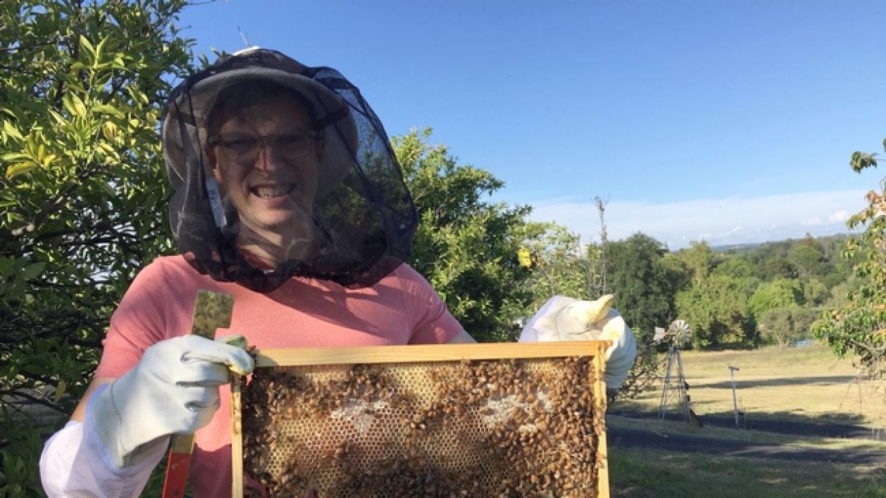 Dr. Jonathan Dear, a small animal internal medicine veterinarian and hobbyist beekeeper is collaborating with the Western Institute of Food Safety and Security to train veterinarians about beekeeping and honey bee health. Dr. Jonathan Dear with his honeybees