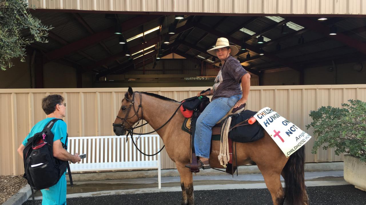 Dr. Larry Galuppo and Angela Wood discuss ongoing care for Star-Buck as Wood completes her cross country journey. veterinarians with horse and rider at UC Davis veterinary hospital