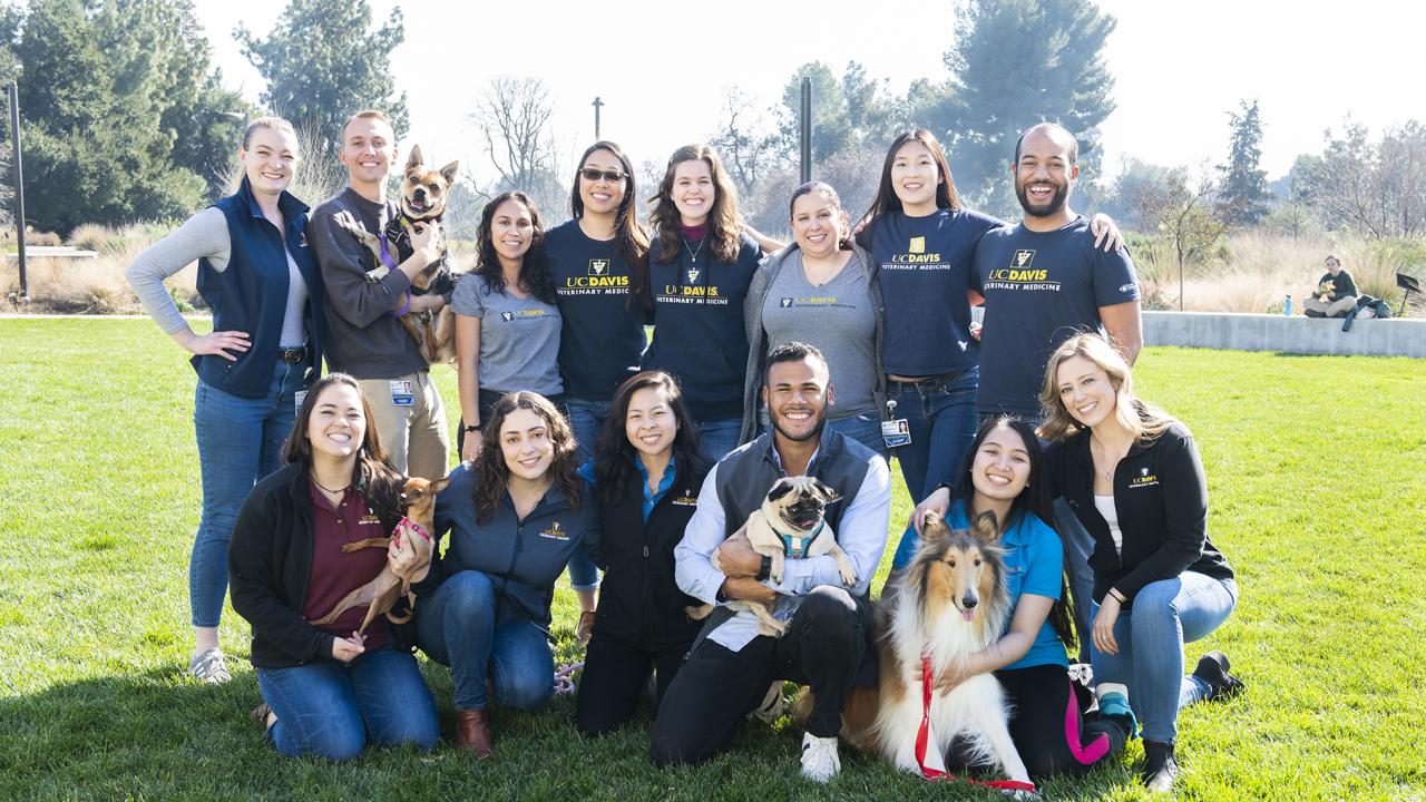 Class of 2021 veterinary student Ferdie Liard-Ramirez with fellow veterinary students and their dogs.