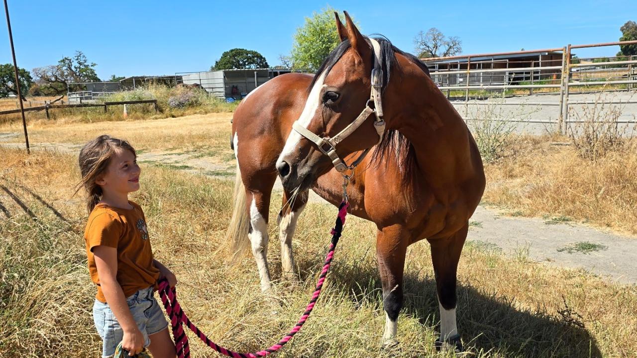 girl holding reign of horse in pasture