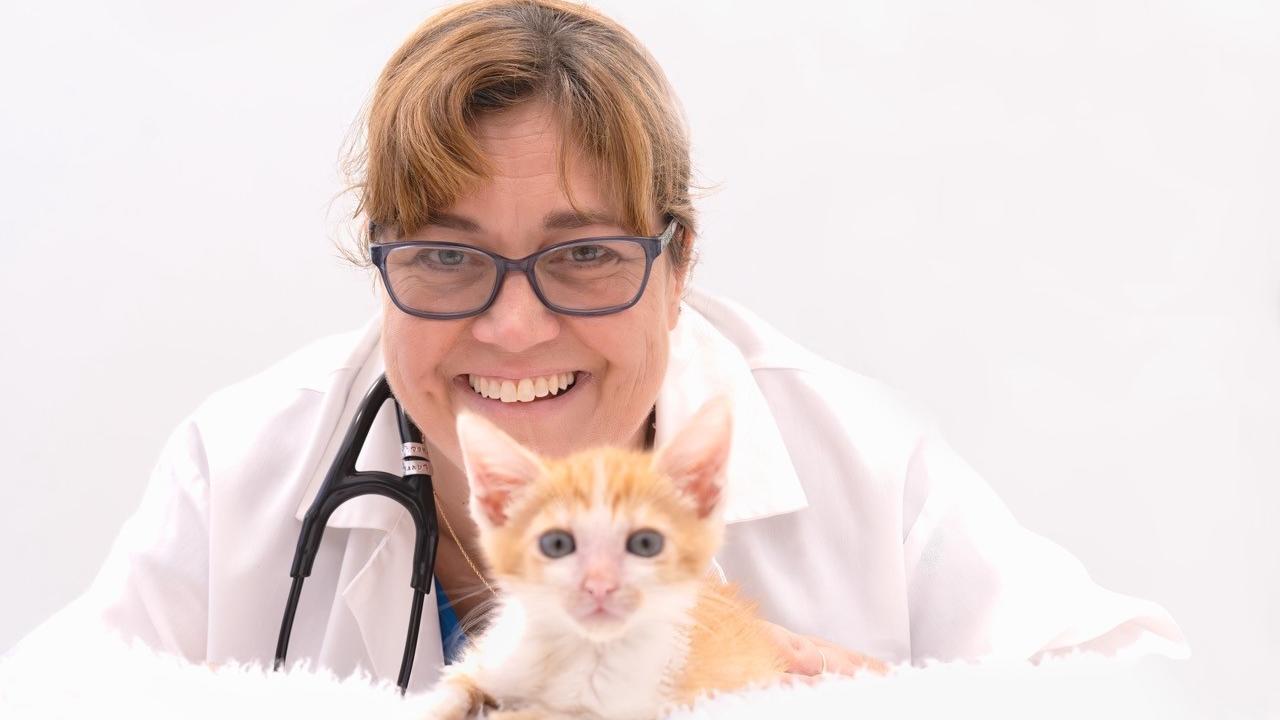 veterinarian with cat