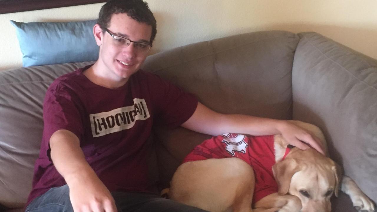 boy and dog