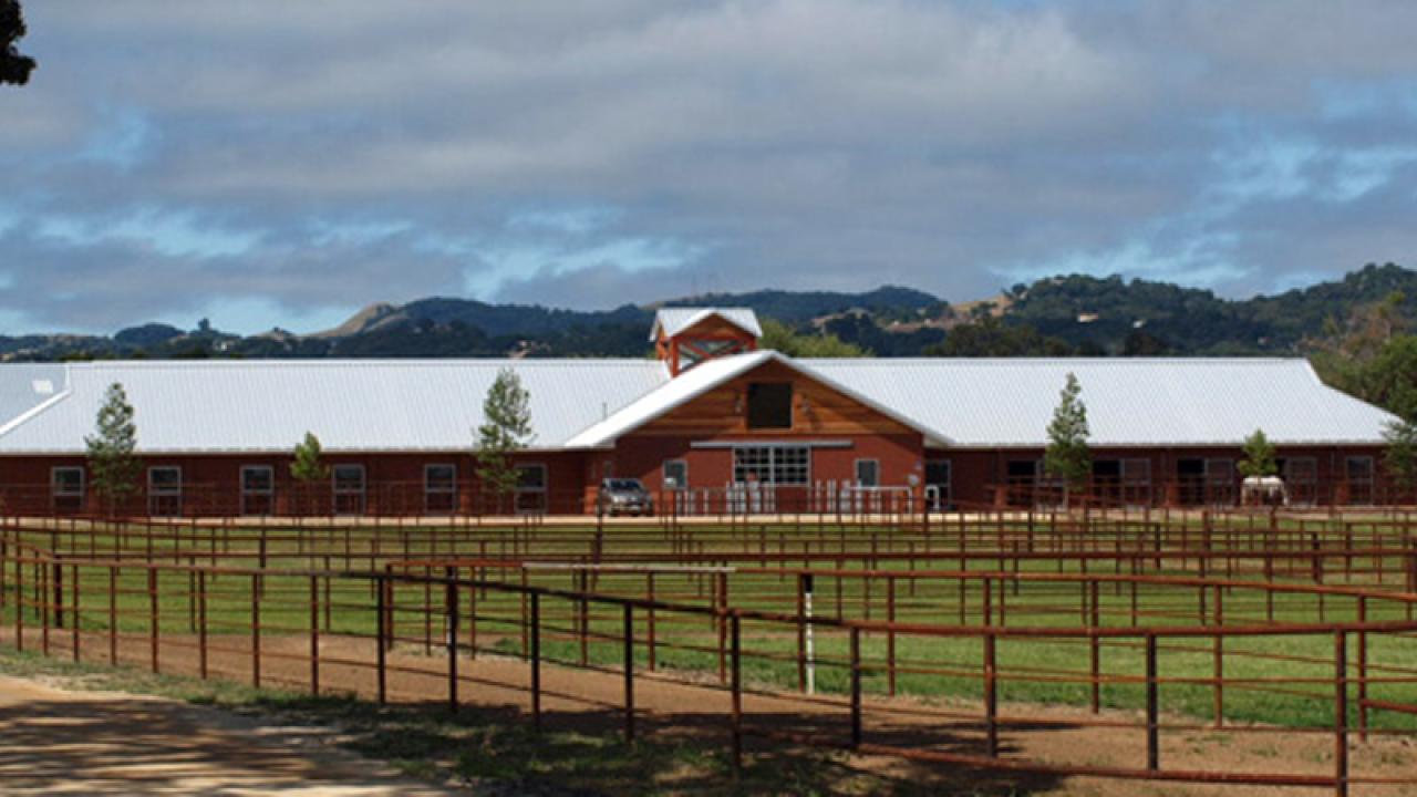 UC Davis Equine Veterinary Program to Expand With Donation of Templeton