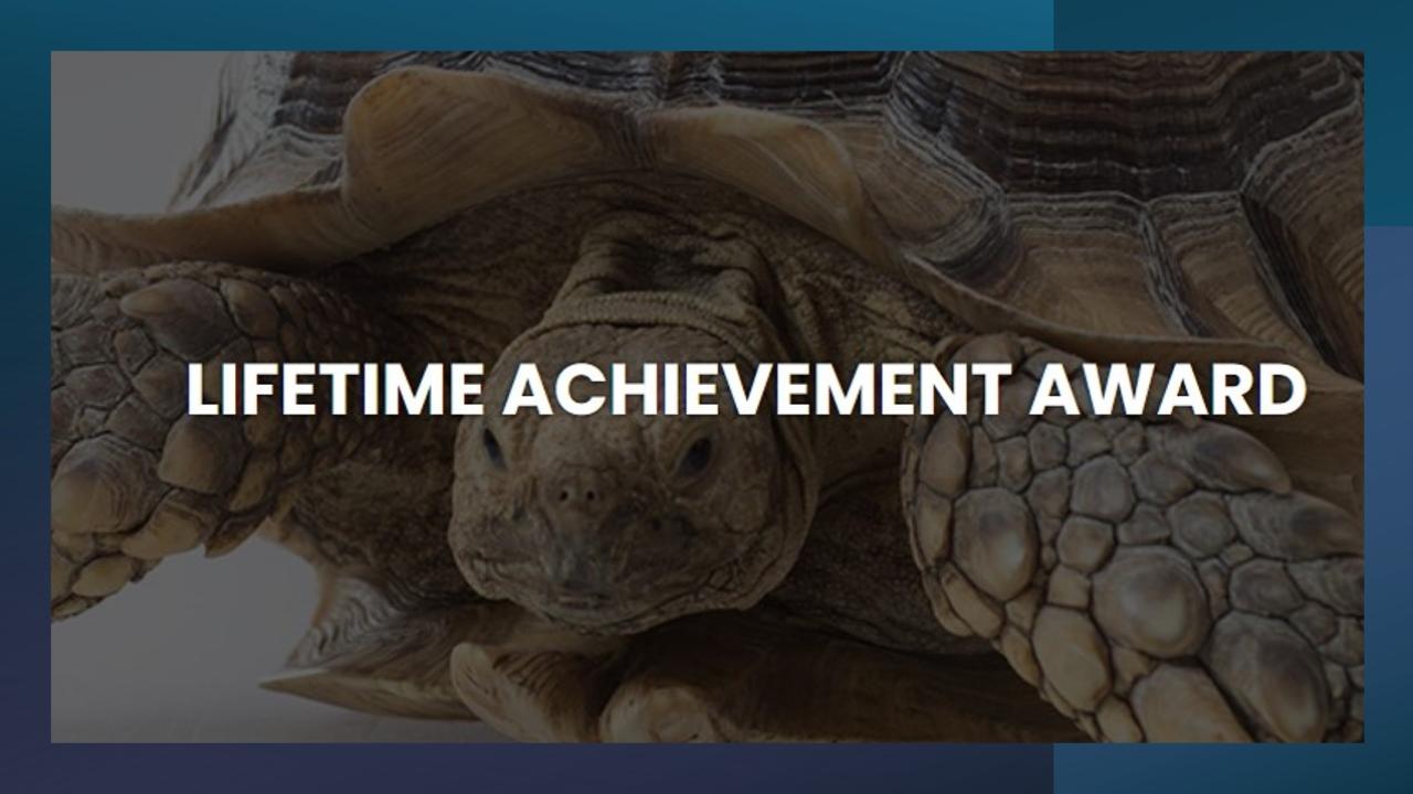 turtle with "lifetime achievement award"