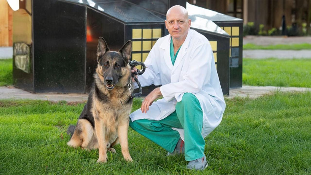 veterinarian in white lab coat and scrubs with a german shepherd