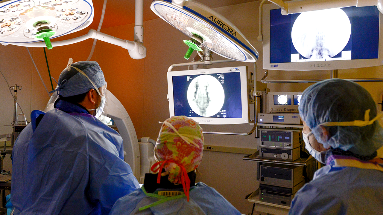 Vets reviewing an x-ray during surgery.