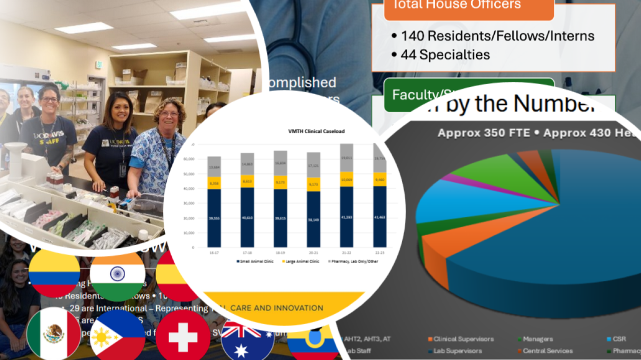 collage of slideshow images featuring accomplishments