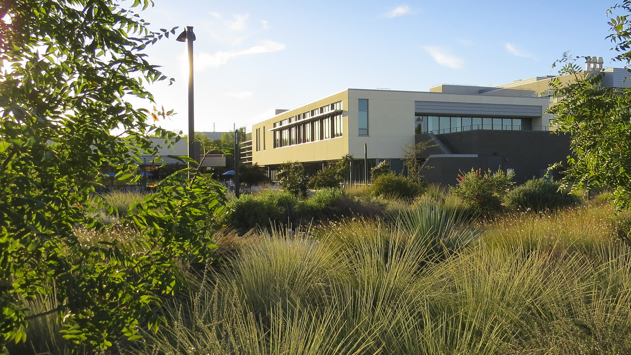 School of Veterinary Medicine Admin Building shown through the arboretum.