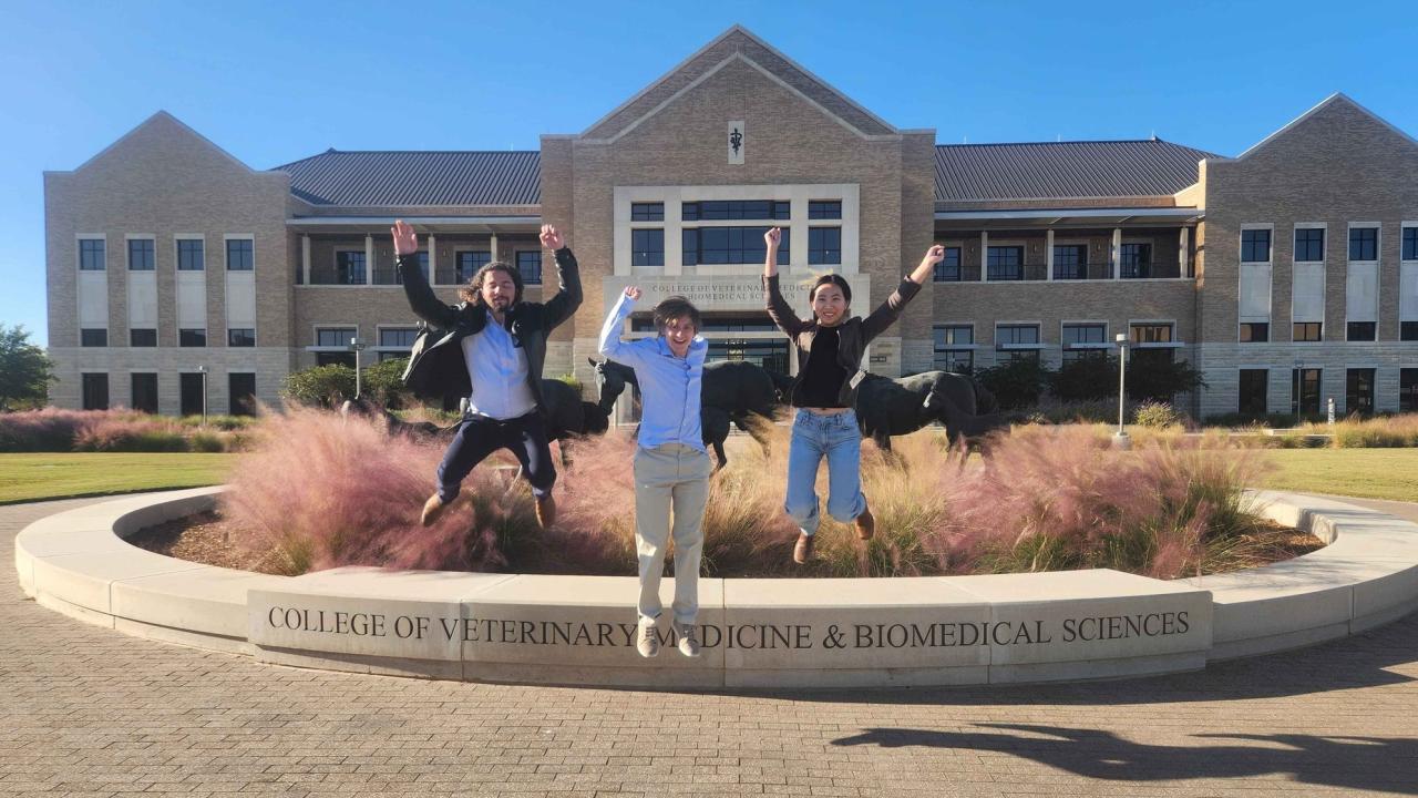 three students jumping for joy in front of a college building