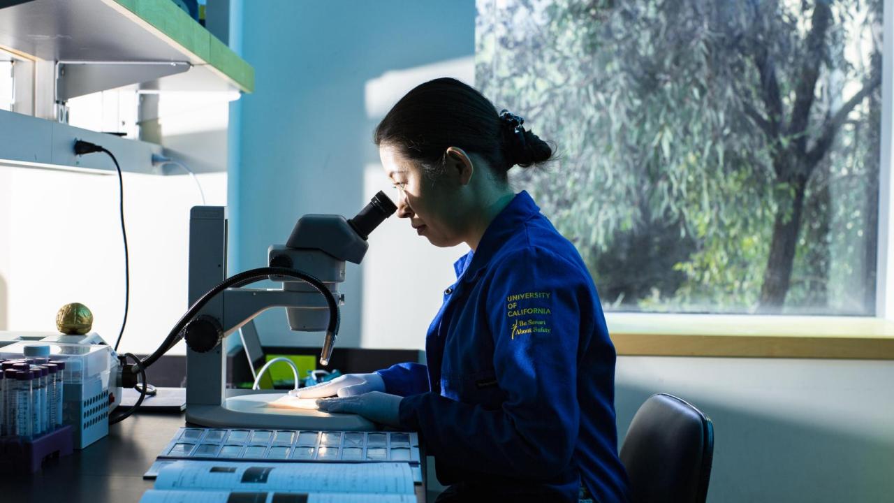 ucr-researcher