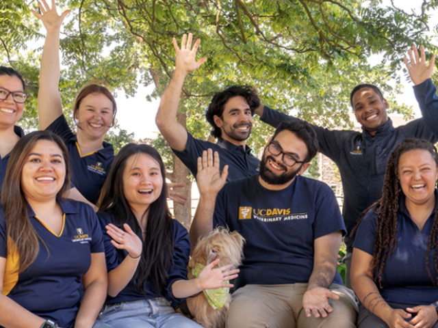 Group of veterinary students with dogs