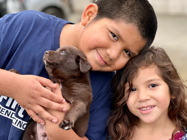Two children holding a puppy.