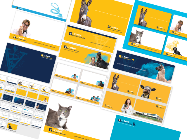 A layout of different brand assets, including power point and Zoom backgrounds.