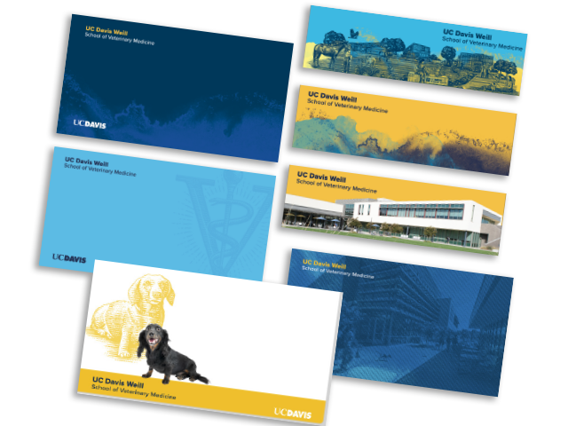 Various colorful banners featuring landscapes, buildings, and dogs, with text elements.