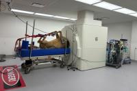 horse on MRI machine