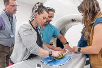 veterinarinas prepare a parrot for a CT scan