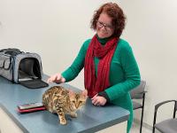 cat with owner at UC Davis veterinary hospital
