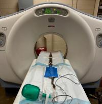 snake getting CT scan