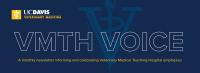 VMTH Voice masthead design