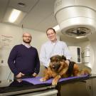 Veterinary radiology oncologist Dr. Michael Kent (right) with Dr. Arta Monjazeb, associate professor in the UC Davis Comprehensive Cancer Center’s Department of Radiation Oncology. 