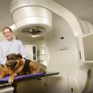 Drs. Arta Monjazeb and Michael Kent with a dog.