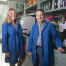 Drs. Danika Bannasch and Josh Stern