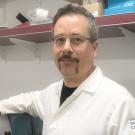 veterinary researcher in laboratory